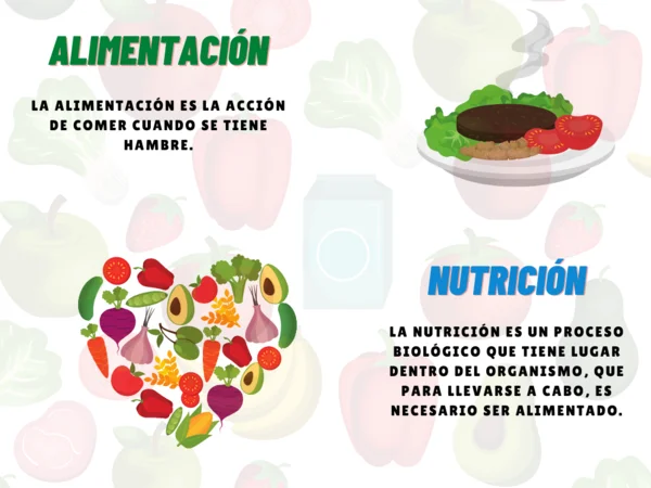 Cursos de alimentación